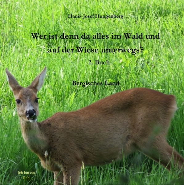 Produktbild: Wer ist denn da alles im Wald und auf der Wiese unterwegs?