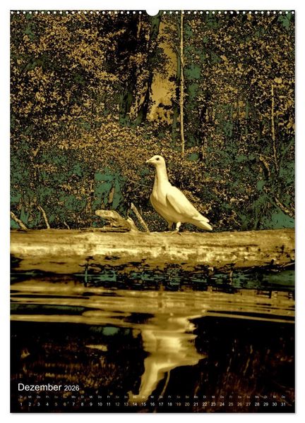 Produktbild: DUNKELGOLD AM SEE (Wandkalender 2026 DIN A2 hoch), CALVENDO Monatskalender
