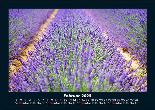Produktbild: Pflanzen und Bl&uuml;ten 2025 Fotokalender DIN A5