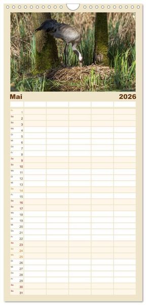 Produktbild: Familienplaner 2026 - Mit Kranichen durch das Jahr mit 5 Spalten (Wandkalender, 21 x 45 cm) CALVENDO