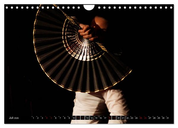 Produktbild: Flamenco. Spanischer Tanz (Wandkalender 2026 DIN A4 quer), CALVENDO Monatskalender
