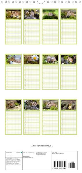 Produktbild: Familienplaner ... hier kommt die Maus ... (Wandkalender 2022 , 21 cm x 45 cm, hoch)