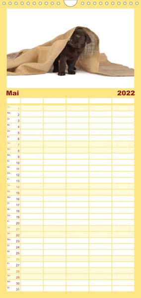Produktbild: Familienplaner Labrador - Welpen (Wandkalender 2022 , 21 cm x 45 cm, hoch)