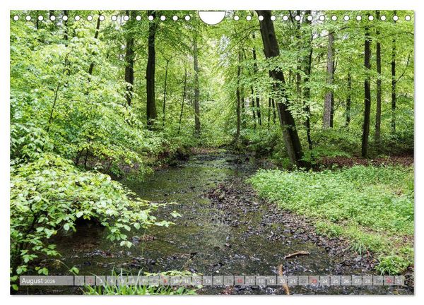 Produktbild: Teutoburger Wald - Natur und Kultur (Wandkalender 2026 DIN A4 quer), CALVENDO Monatskalender