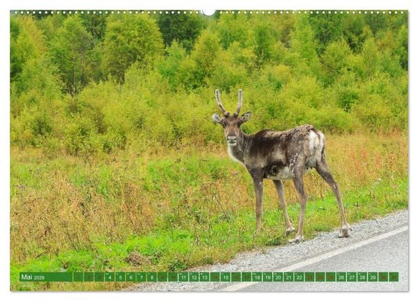 Produktbild: Finnisch Lappland (hochwertiger Premium Wandkalender 2026 DIN A2 quer), Kunstdruck in Hochglanz
