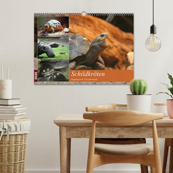 Produktbild: Schildkr&ouml;ten - Gepanzerte Urzeitwesen (Wandkalender 2026 DIN A3 quer), CALVENDO Monatskalender