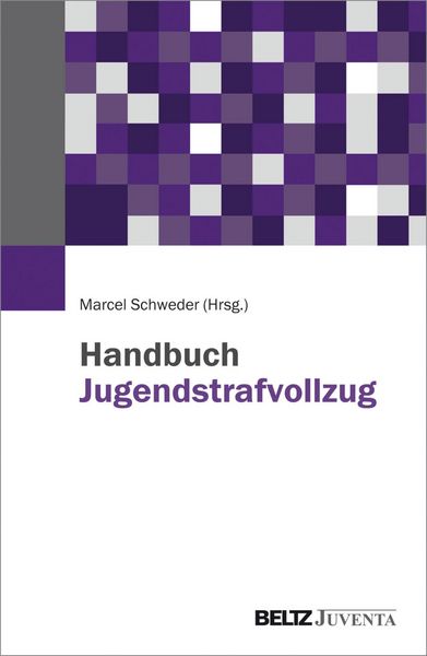 Produktbild: Handbuch Jugendstrafvollzug