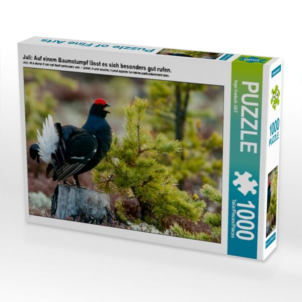 CALVENDO Puzzle Juli: Auf einem Baumstumpf lässt es sich besonders gut rufen. | 1000 Teile Lege-Größe 64x48cm Foto-Puzzle für glückliche Stunden