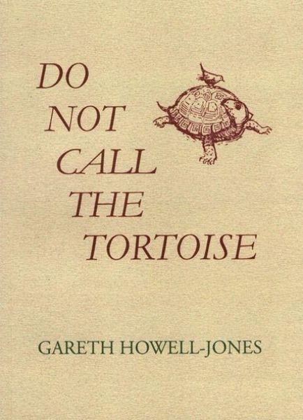 Produktbild: Do Not Call the Tortoise