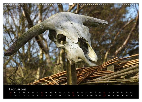 Produktbild: D&auml;nemark - Umgebung von Hvide Sande (hochwertiger Premium Wandkalender 2026 DIN A2 quer), Kunstdruck in Hochglanz
