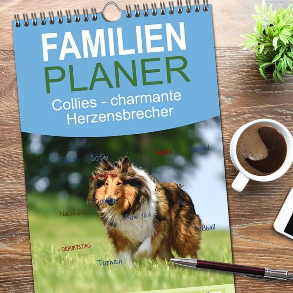 Produktbild: Familienplaner 2026 - Collies - charmante Herzensbrecher mit 5 Spalten (Wandkalender, 21 x 45 cm) CALVENDO