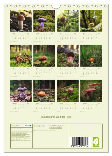Produktbild: Wundersame Welt der Pilze (Wandkalender 2026 DIN A4 hoch), CALVENDO Monatskalender