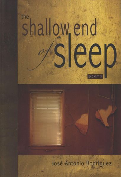 Produktbild: Shallow End of Sleep