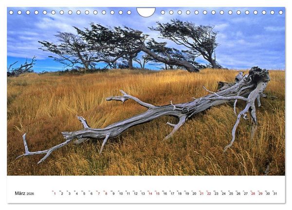 Produktbild: Faszinierendes Patagonien (Wandkalender 2026 DIN A4 quer), CALVENDO Monatskalender