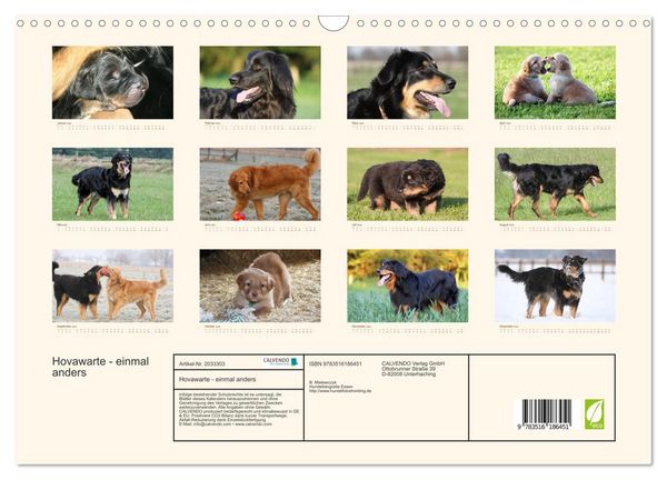 Produktbild: Hovawarte - einmal anders (Wandkalender 2026 DIN A3 quer), CALVENDO Monatskalender