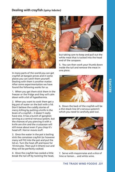 Produktbild: The Trade Wind Foodie