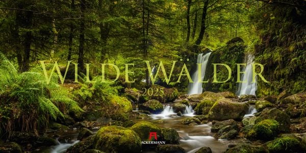 Wilde Wälder Kalender 2025