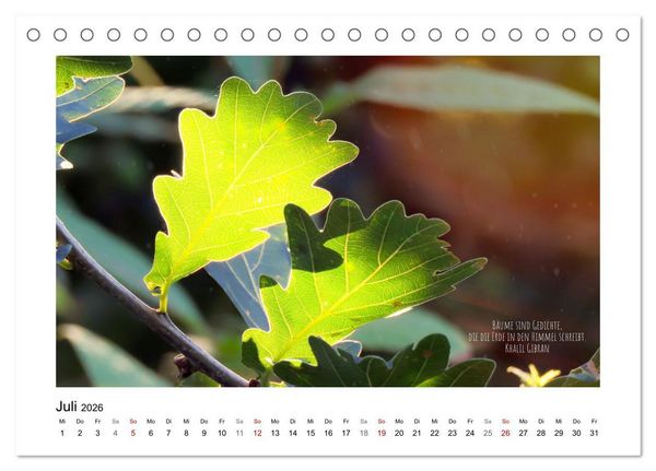 Produktbild: Bl&auml;tterreigen (Tischkalender 2026 DIN A5 quer), CALVENDO Monatskalender