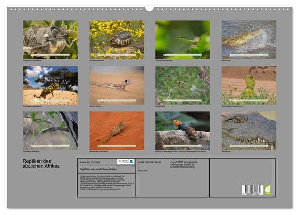 Produktbild: Reptilien des s&uuml;dlichen Afrikas (Wandkalender 2026 DIN A2 quer), CALVENDO Monatskalender