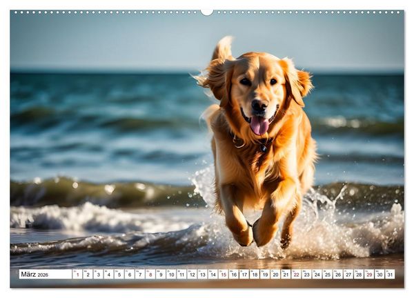 Produktbild: Begeisterte Wasserratten (hochwertiger Premium Wandkalender 2026 DIN A2 quer), Kunstdruck in Hochglanz