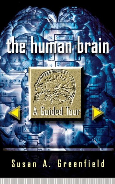 Produktbild: The Human Brain
