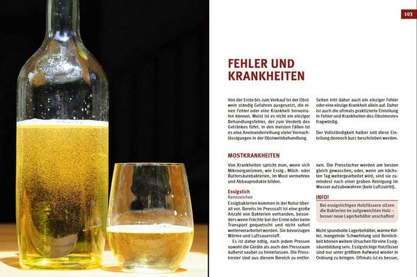 Produktbild: Cider, Most & Apfelwein