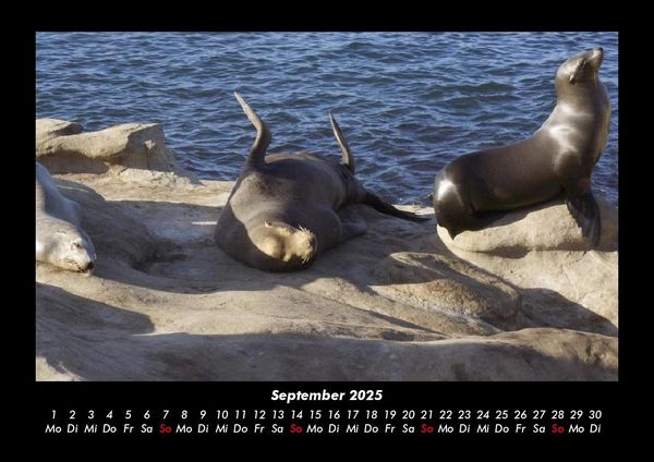 Produktbild: Die Seen der Erde 2025 Fotokalender DIN A3