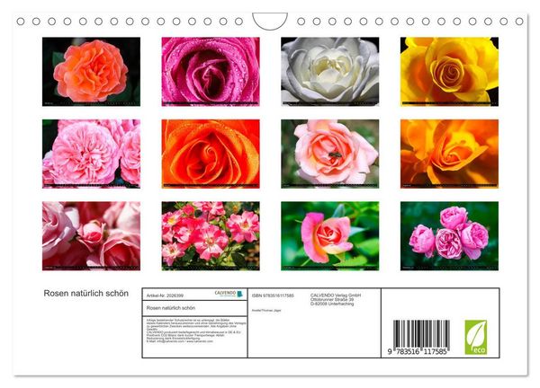 Produktbild: Rosen nat&uuml;rlich sch&ouml;n (Wandkalender 2026 DIN A4 quer), CALVENDO Monatskalender