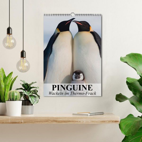 Produktbild: Pinguine - Wackeln im Thermo-Frack (Wandkalender 2026 DIN A3 hoch), CALVENDO Monatskalender