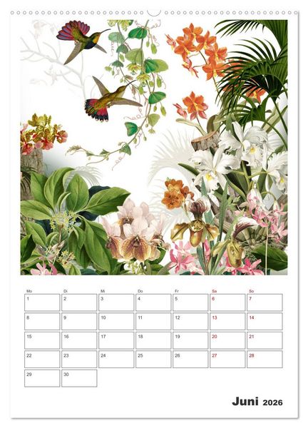Produktbild: Das Paradies der Kolibris (hochwertiger Premium Wandkalender 2026 DIN A2 hoch), Kunstdruck in Hochglanz