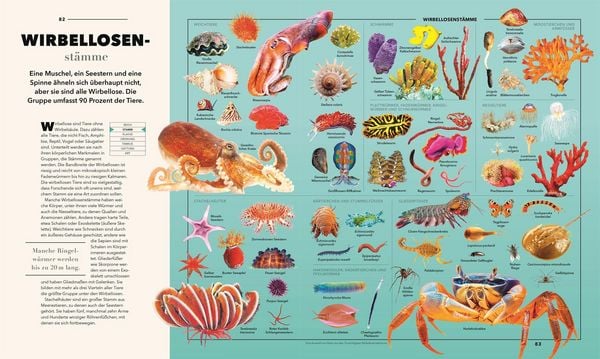 Produktbild: Universum des Wissens