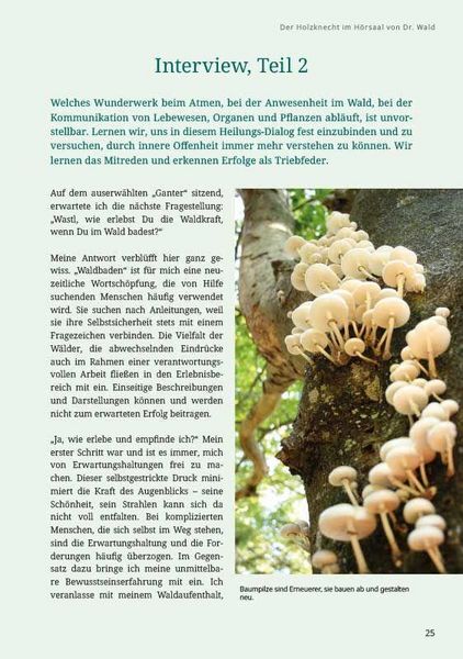 Produktbild: Dr. Wald und sein Holzknecht