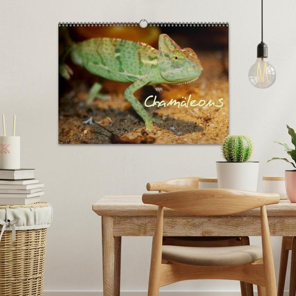 Produktbild: Cham&auml;leons (Wandkalender 2026 DIN A3 quer), CALVENDO Monatskalender