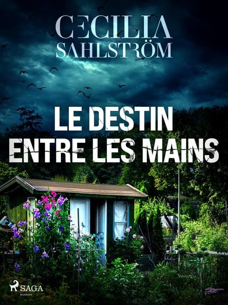 Produktbild: Le Destin entre les mains