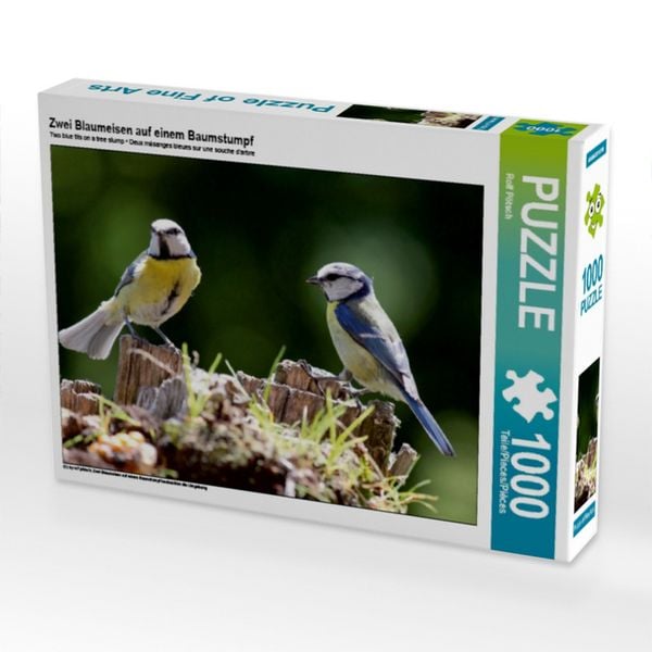 CALVENDO Puzzle Zwei Blaumeisen auf einem Baumstumpf | 1000 Teile Lege-Größe 64x48cm Foto-Puzzle für glückliche Stunden