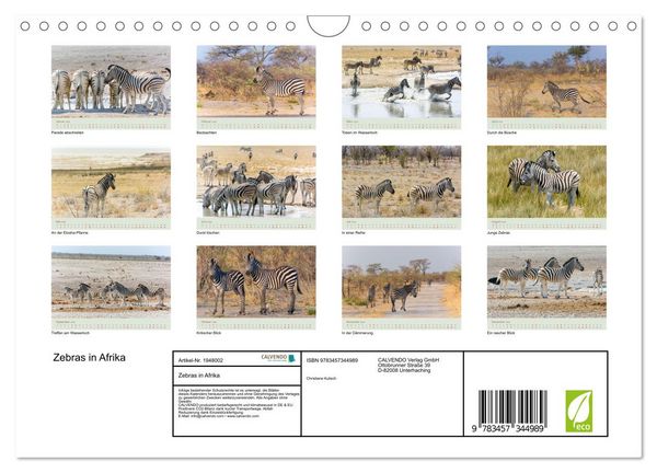 Produktbild: Zebras in Afrika (Wandkalender 2026 DIN A4 quer), CALVENDO Monatskalender