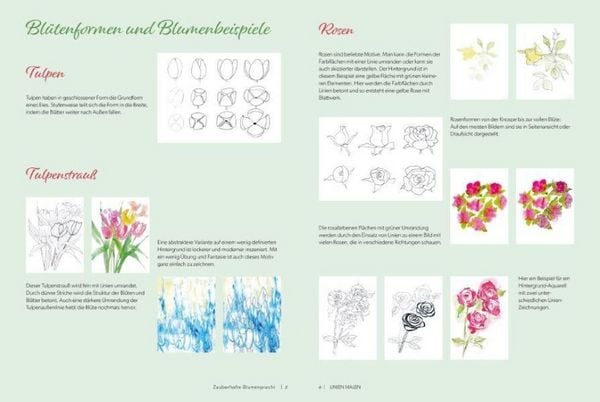 Produktbild: Linien malen &ndash; Zauberhafte Blumenpracht