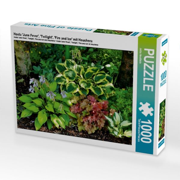 CALVENDO Puzzle Hosta 'June Fever', 'Twilight', 'Fire and Ice' mit Heuchera | 1000 Teile Lege-Größe 64x48cm Foto-Puzzle für glückliche Stunden
