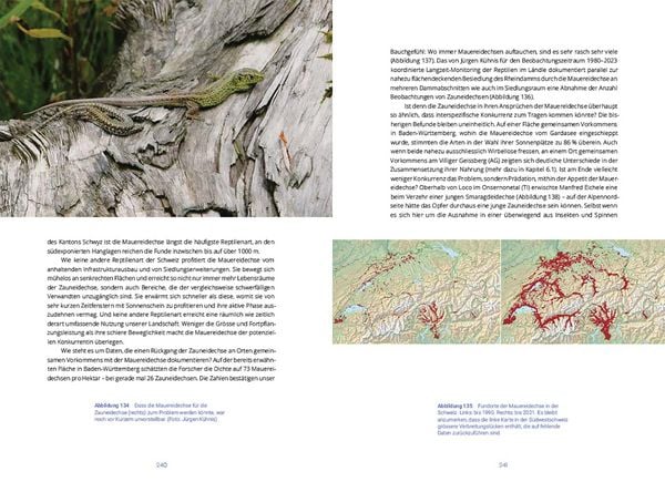 Produktbild: Reptilien in der Schweiz