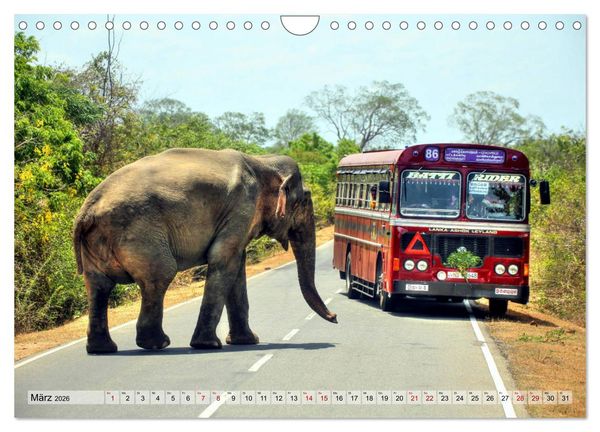 Produktbild: Sri Lanka - Tempel, Tee und Elefanten (Wandkalender 2026 DIN A4 quer), CALVENDO Monatskalender