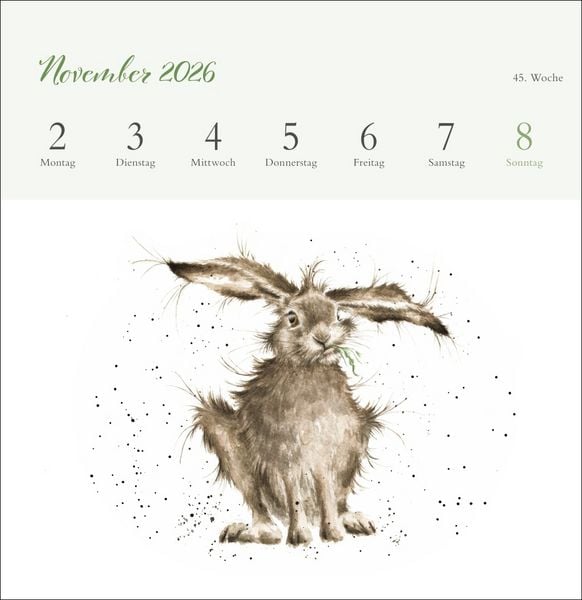 Produktbild: Hannah Dale: Happy Animals Premium-Postkartenkalender 2026