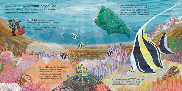 Produktbild: Henn, S: Lifesize Ocean Animals