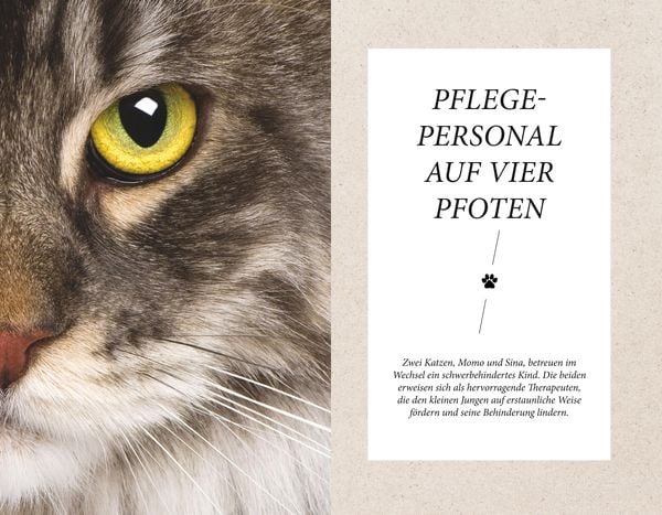 Produktbild: Die unglaublichen Fähigkeiten der Katze
