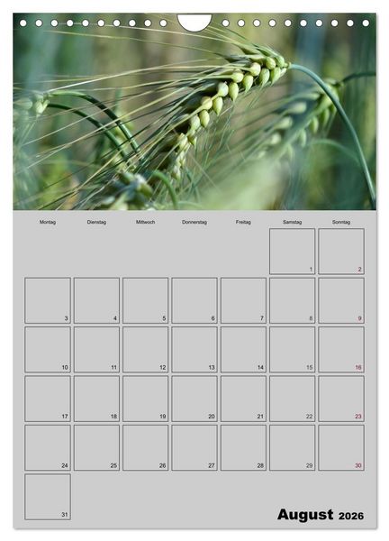 Produktbild: Zeitgewinn (Mein Terminplaner) (Wandkalender 2026 DIN A4 hoch), CALVENDO Monatskalender