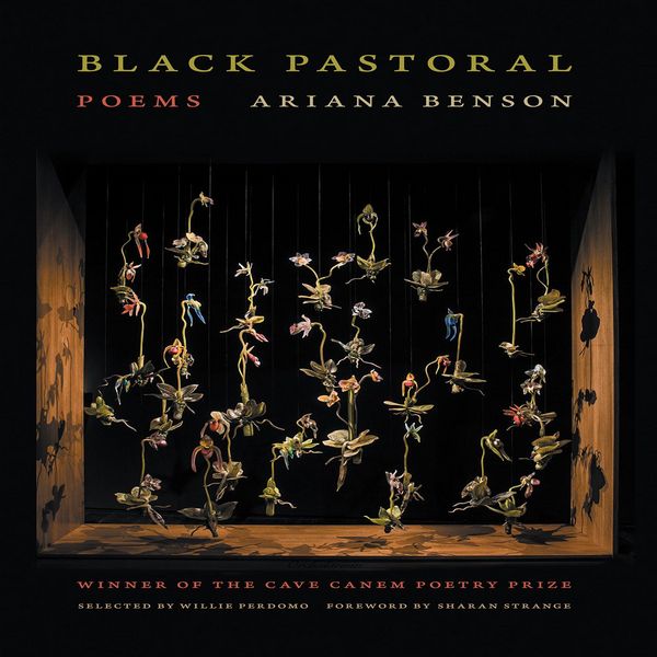 Produktbild: Black Pastoral