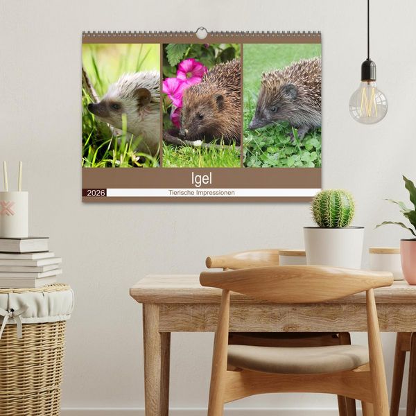 Produktbild: Igel 2026. Tierische Impressionen (Wandkalender 2026 DIN A3 quer), CALVENDO Monatskalender