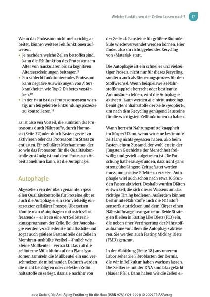 Produktbild: Die Anti-Aging-Ern&auml;hrung f&uuml;r die Haut