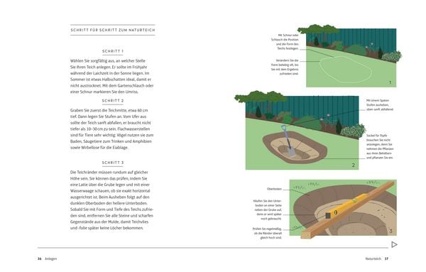 Produktbild: Leben am Gartenteich