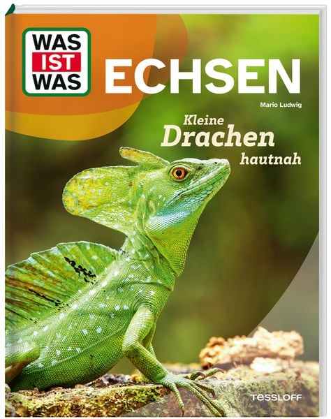 Produktbild: WAS IST WAS Echsen. Kleine Drachen hautnah