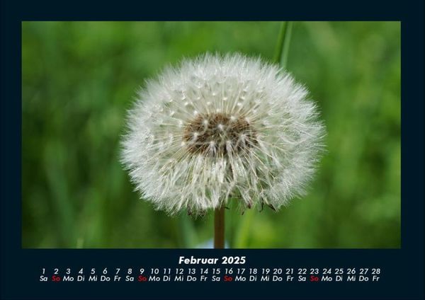 Produktbild: Blumentraum 2025 Fotokalender DIN A4